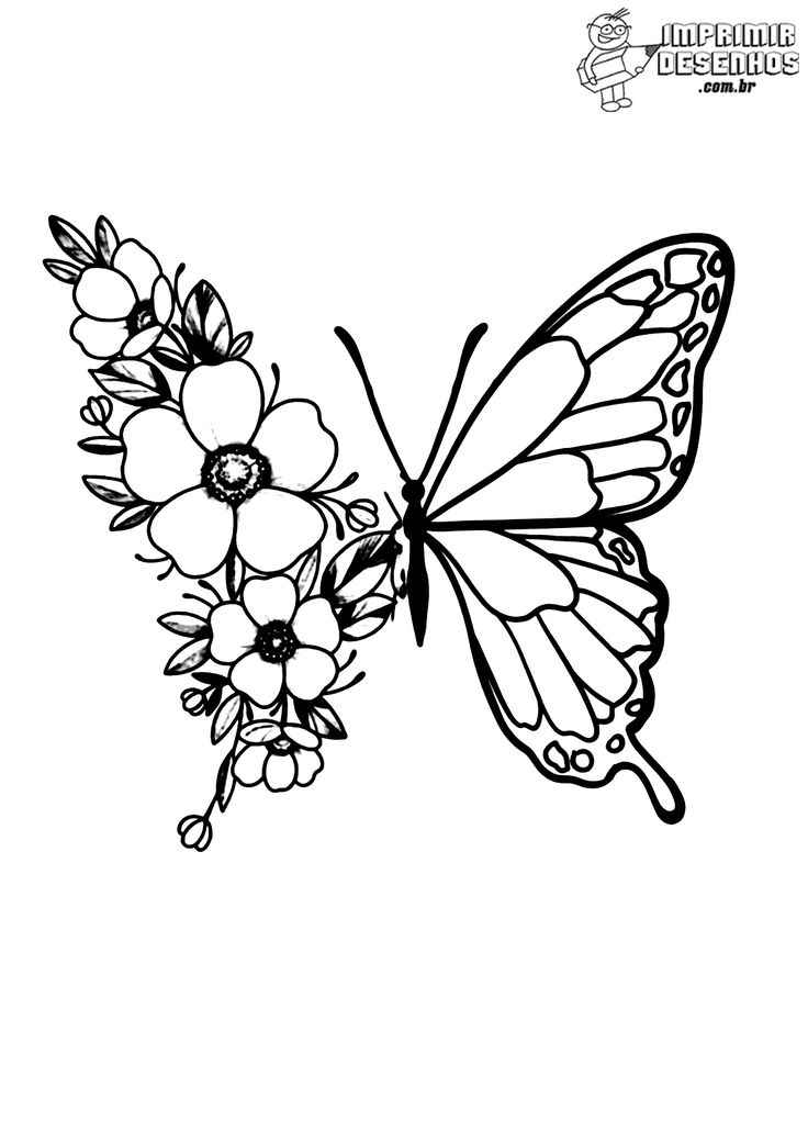 desenhos de borboletas para pintar