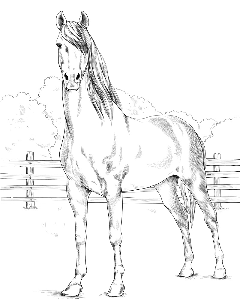 desenho de cavalo para pintar