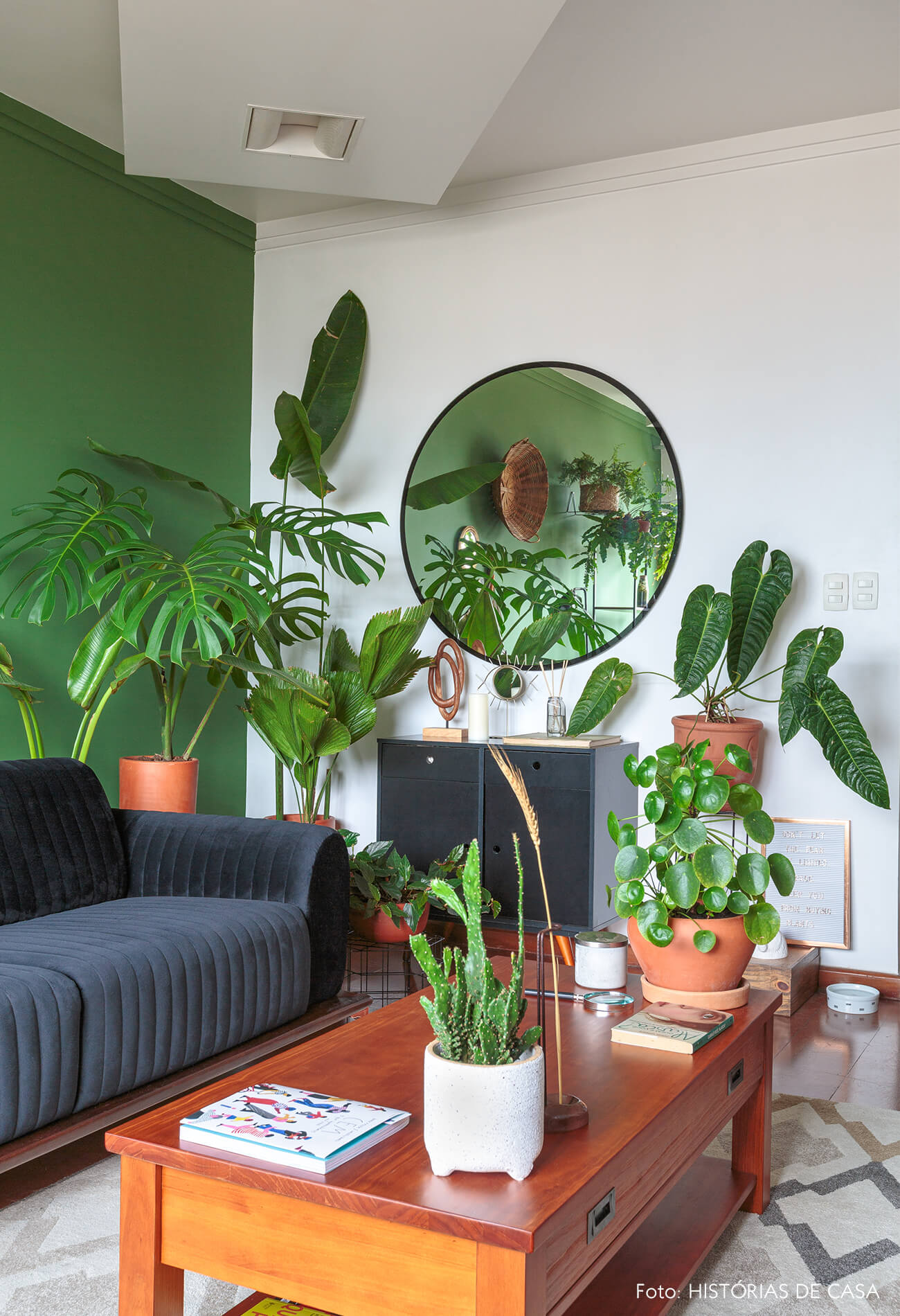 como cuidar de Breynia disticha em apartamento