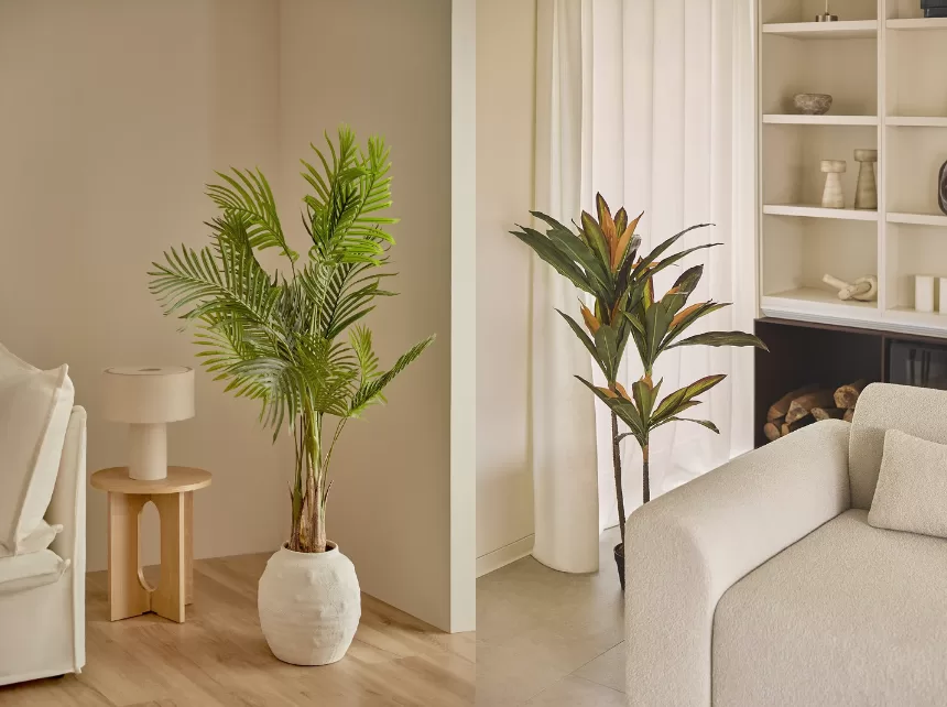 onde colocar planta mil cores na sala