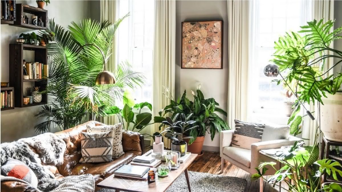 dicas de decoração com plantas de folhagem variegada