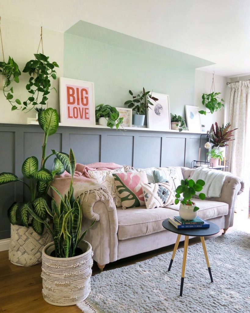 plantas coloridas para salas pequenas