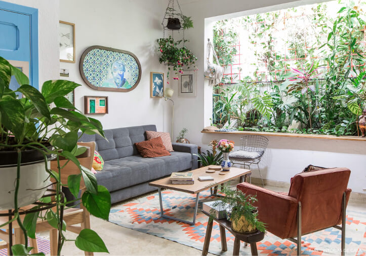 onde colocar planta mil cores na sala