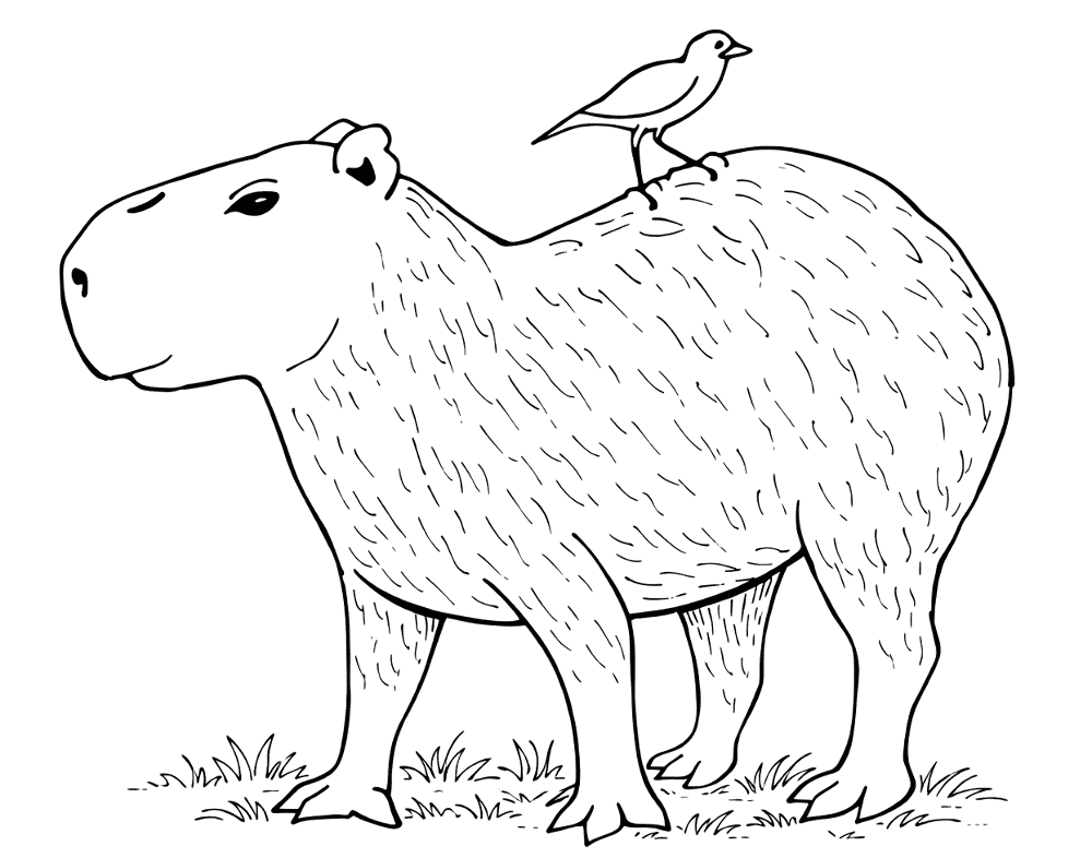 moldes de capivara para artesanato