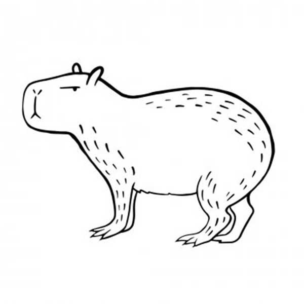 capivara fofa para imprimir