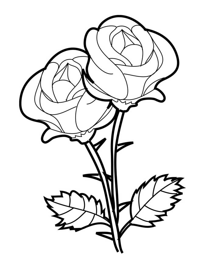 flores para colorir infantil