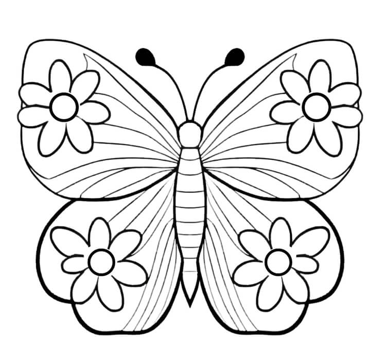 molde de borboleta para imprimir