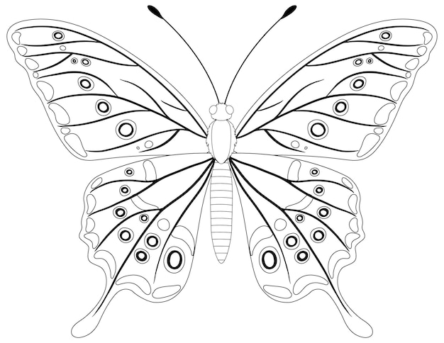 decoração de borboleta para imprimir