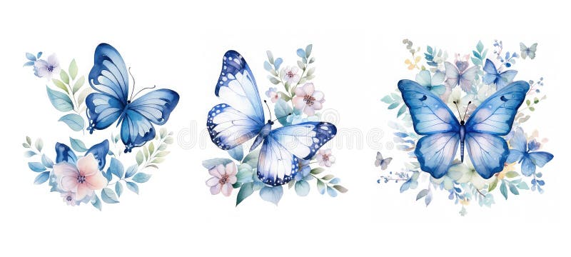 desenhos de borboleta para colorir