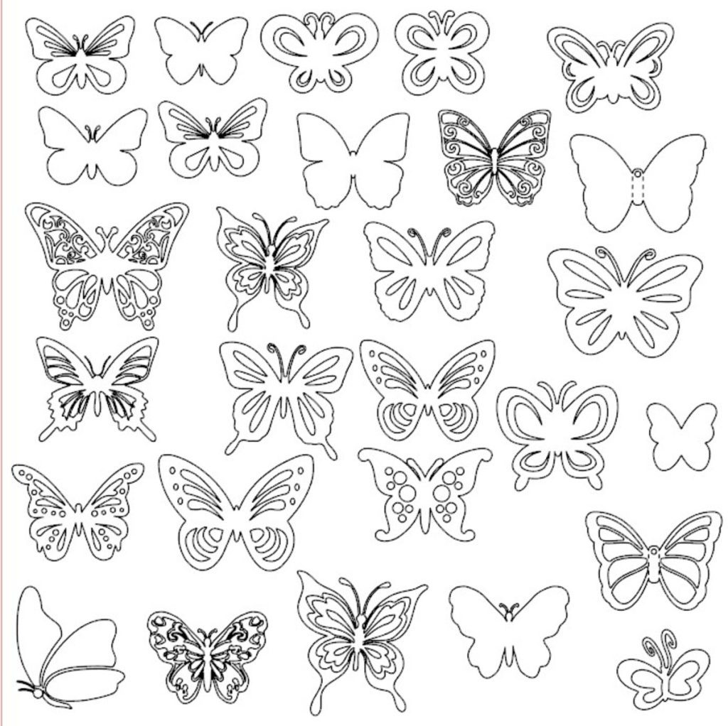 borboleta para pintar