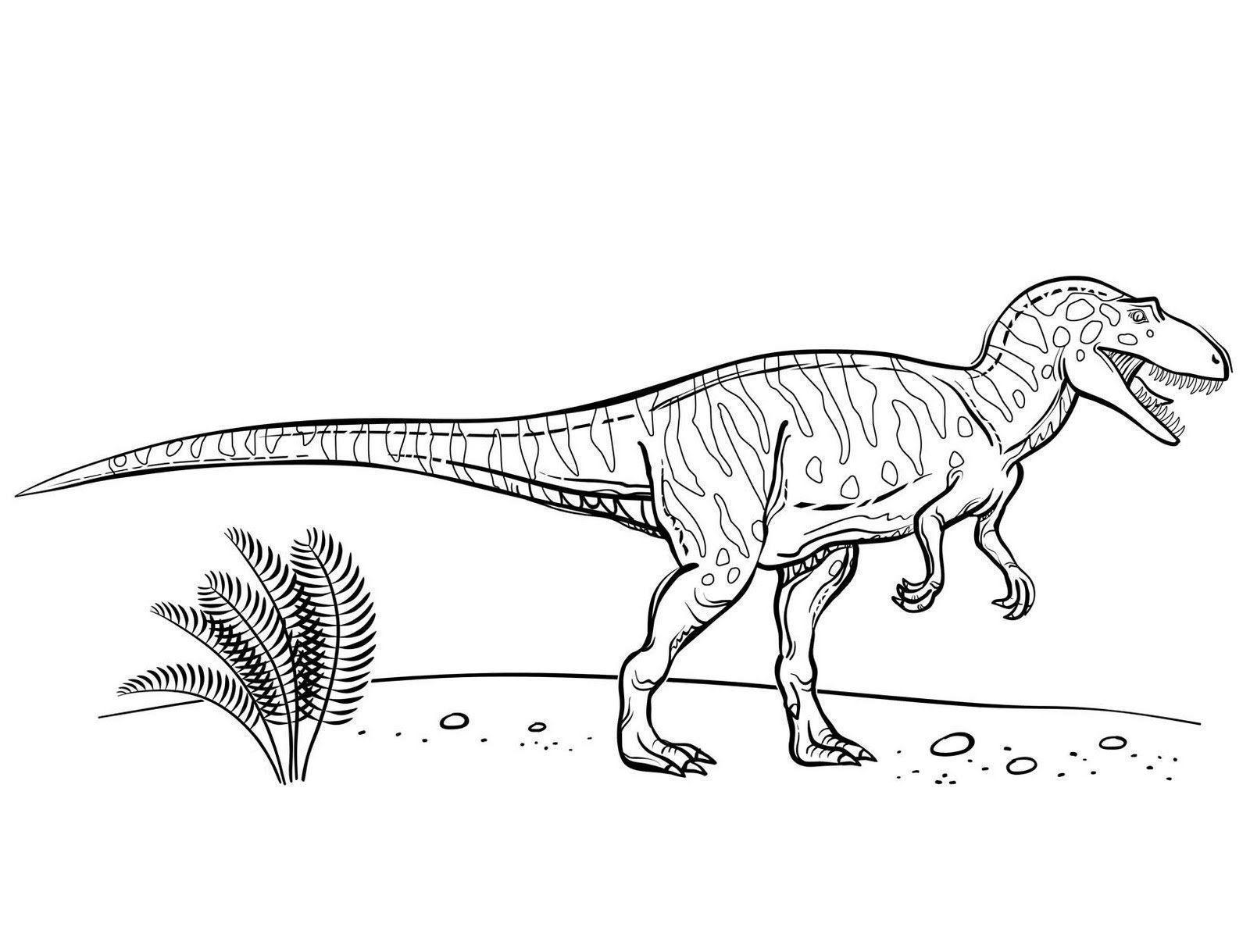 páginas para colorir de dinossauros grátis