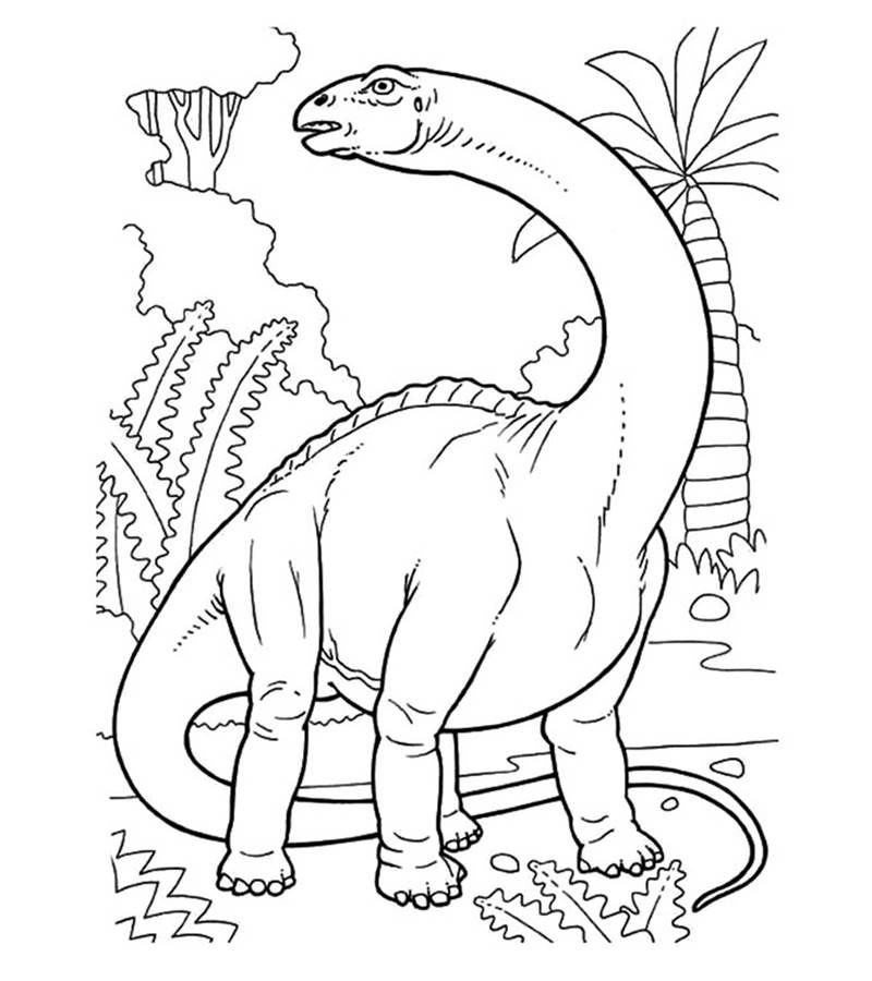 desenhos de dinossauros para imprimir
