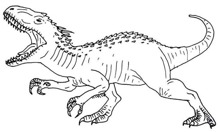 páginas para colorir de dinossauros grátis