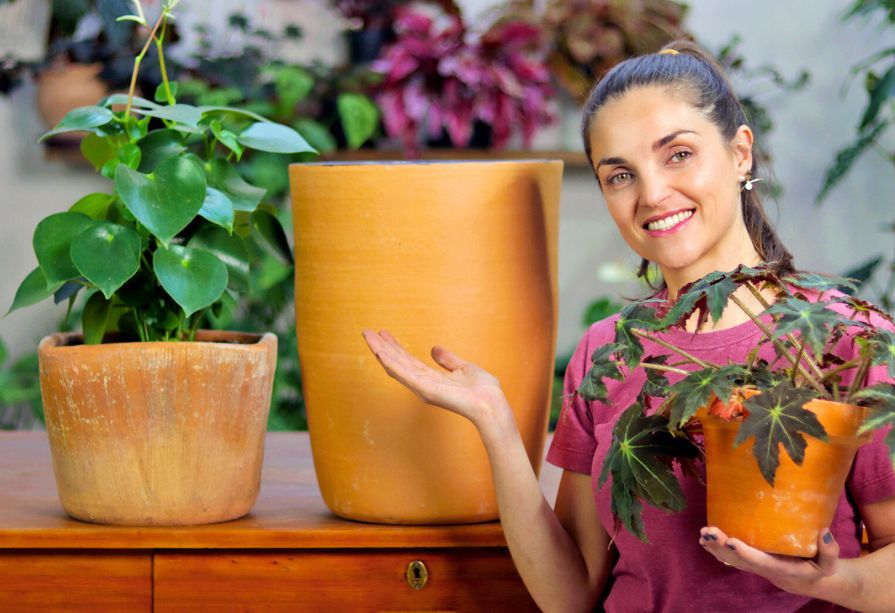 frequência de rega planta mil cores
