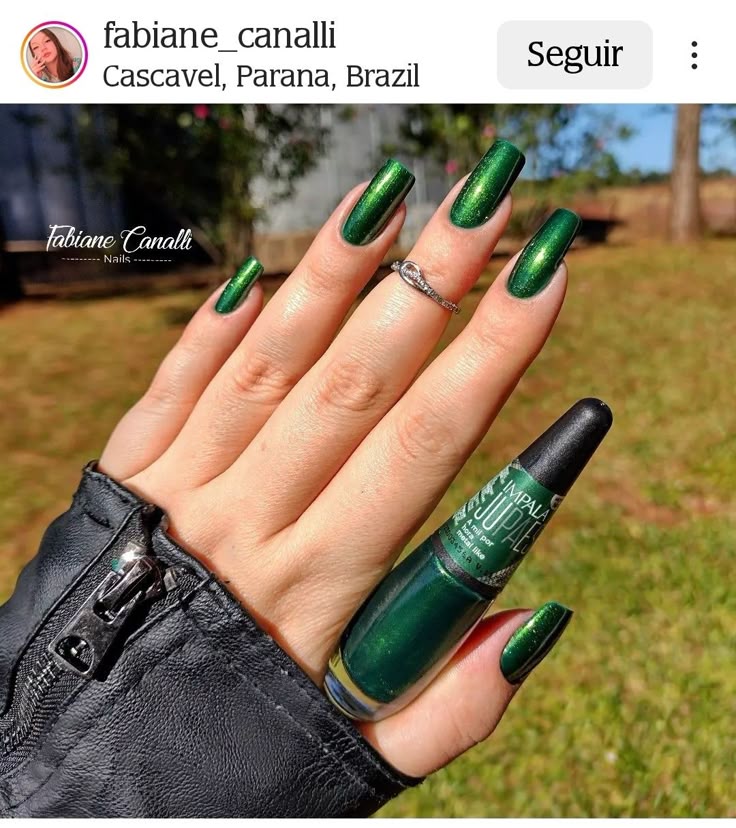 Verde pinheiro