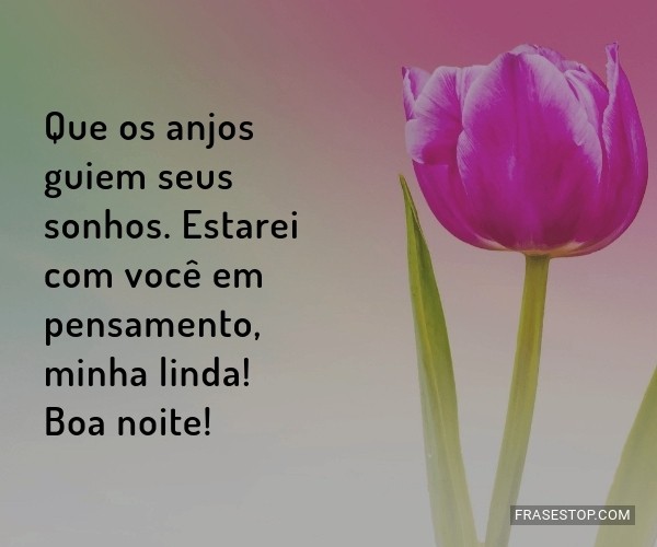 flores boa noite cultivo