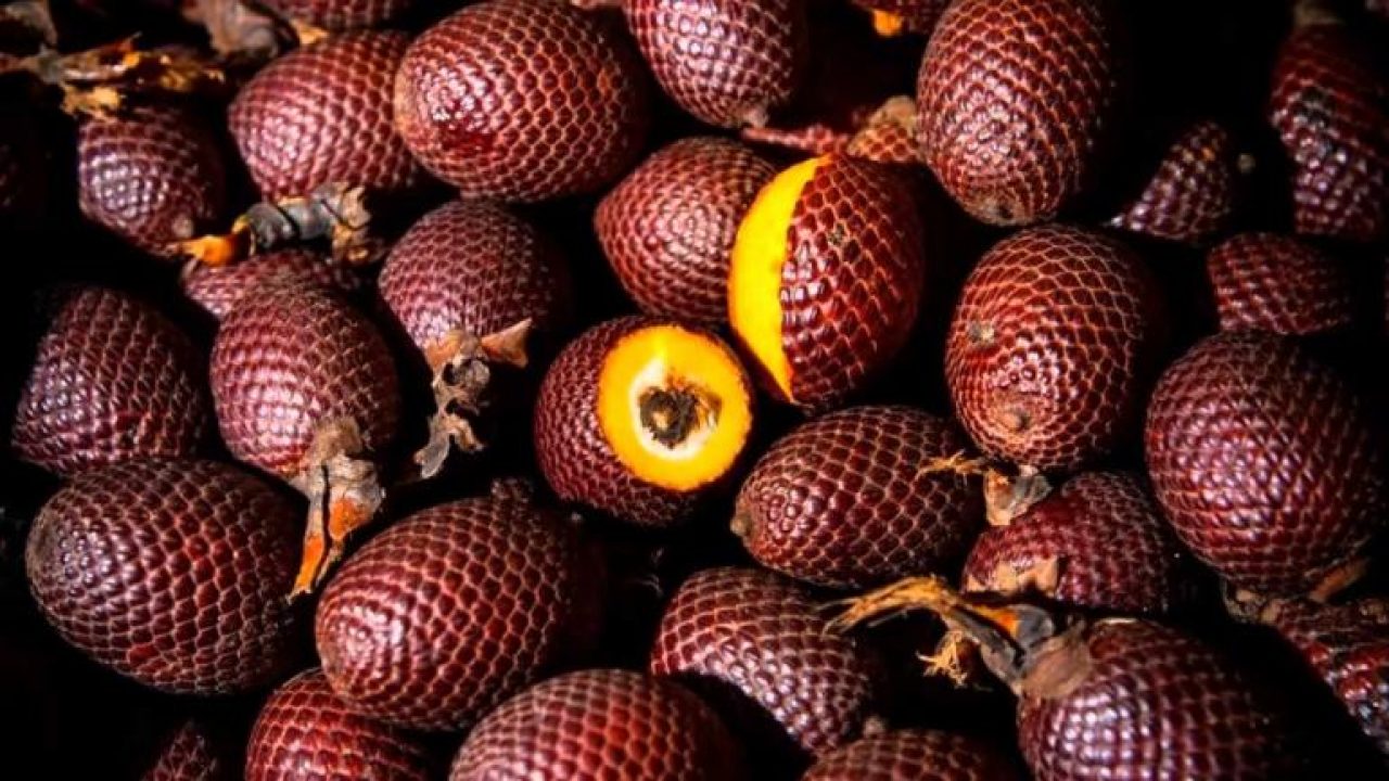 nomes de frutas com a letra B
