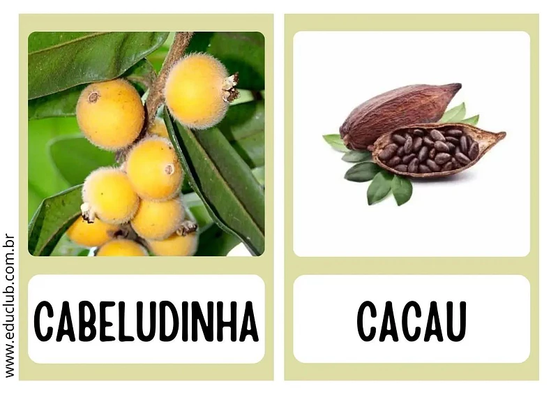 frutas com B para crianças