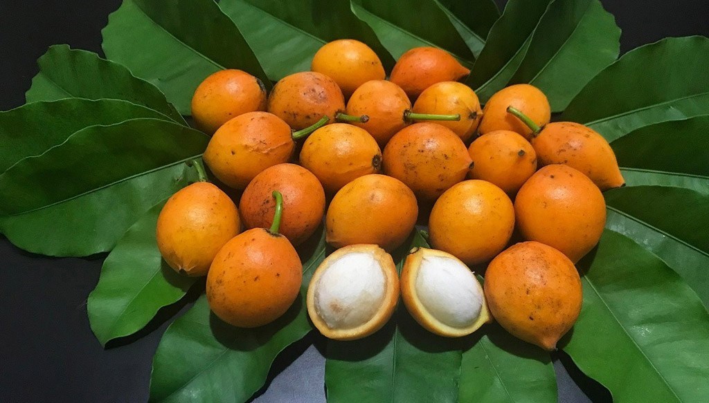 frutas vermelhas com B