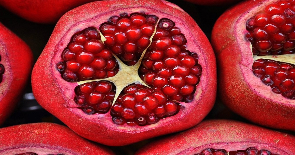 frutas com B para crianças