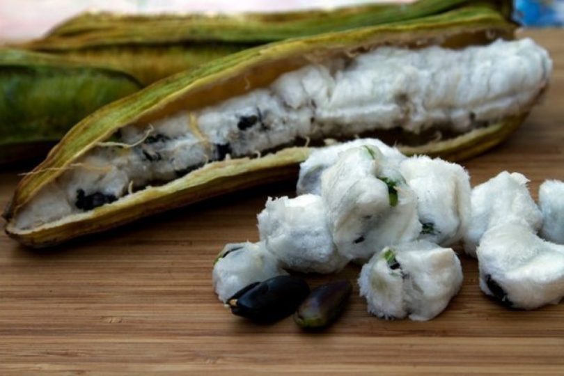 nomes de frutas com i