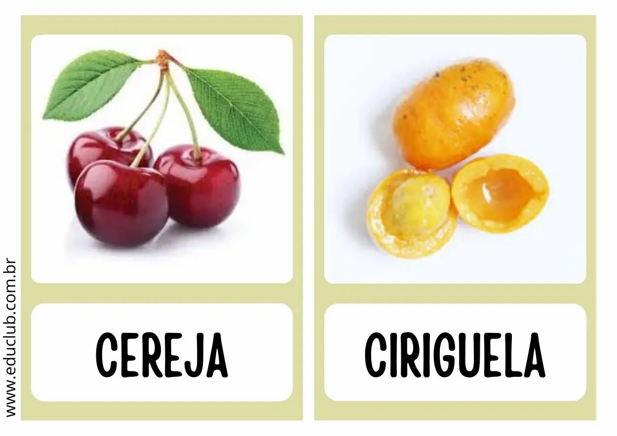 abacaxi origem