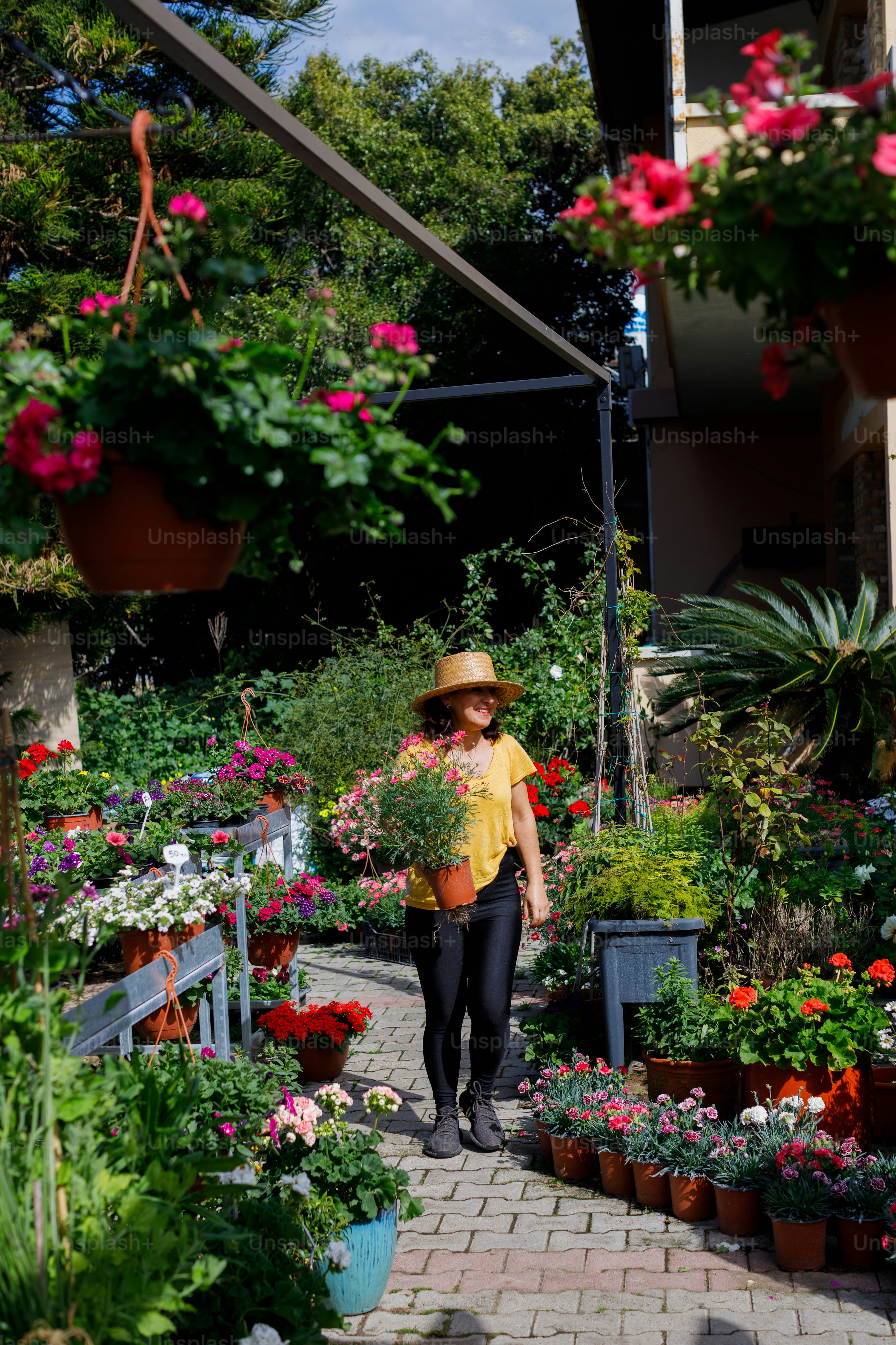 loja de jardinagem