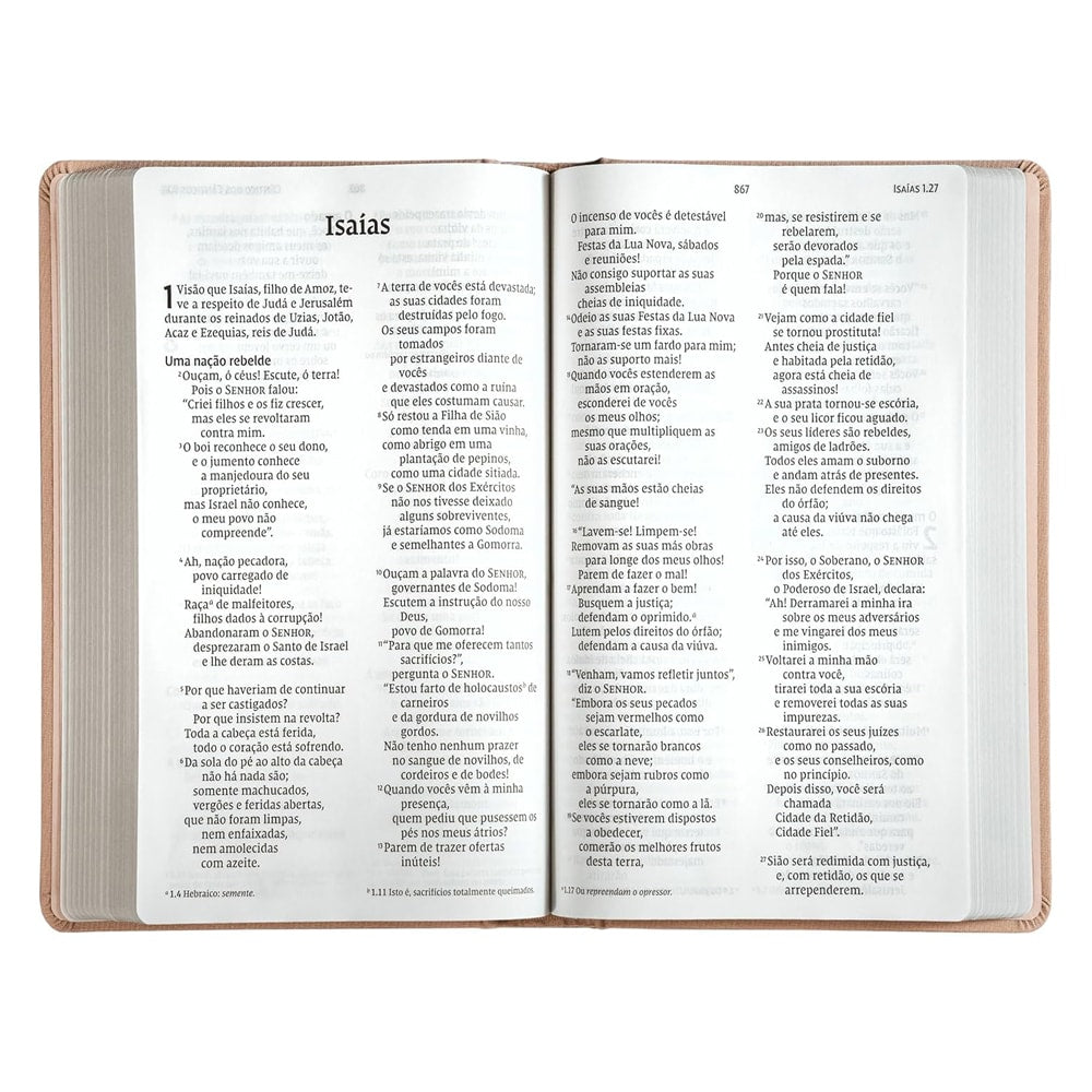 idiomas europeus com A