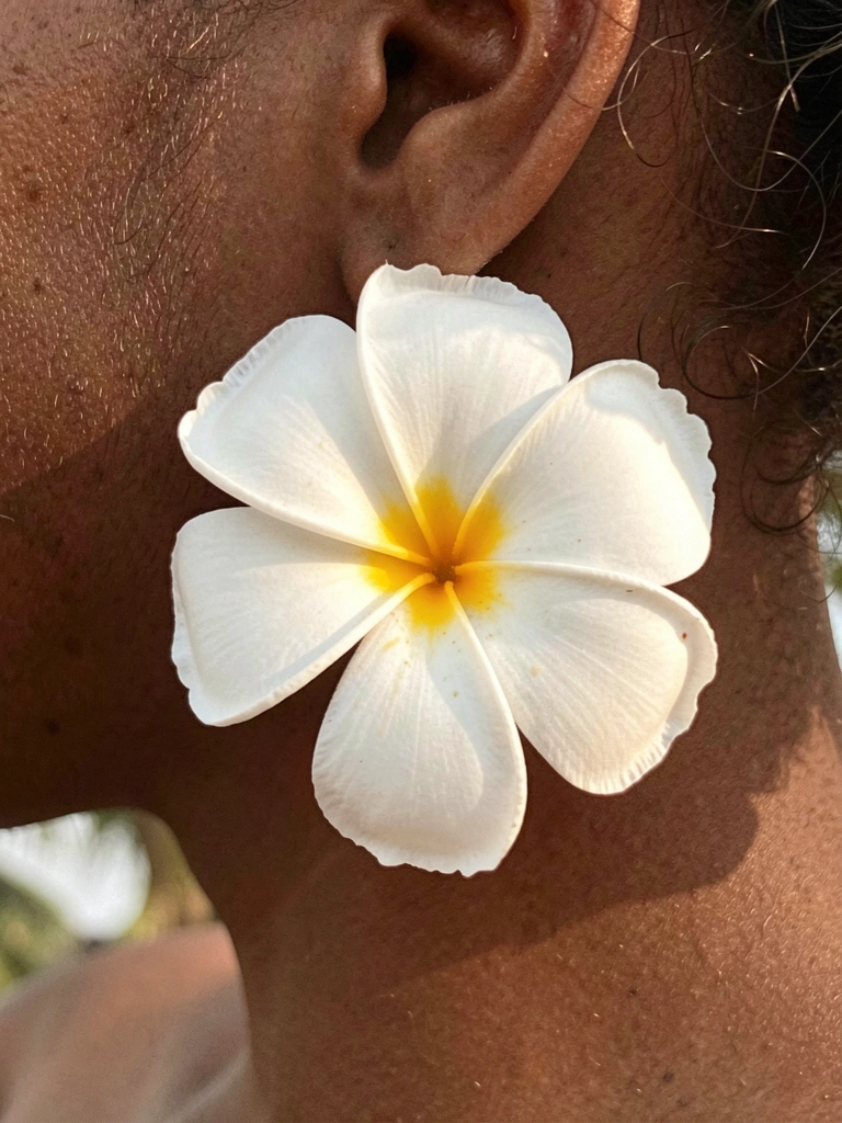 Flor de frangipani branca presa a um lóbulo moreno, com estames amarelos e pétalas onduladas sob luz natural difusa.