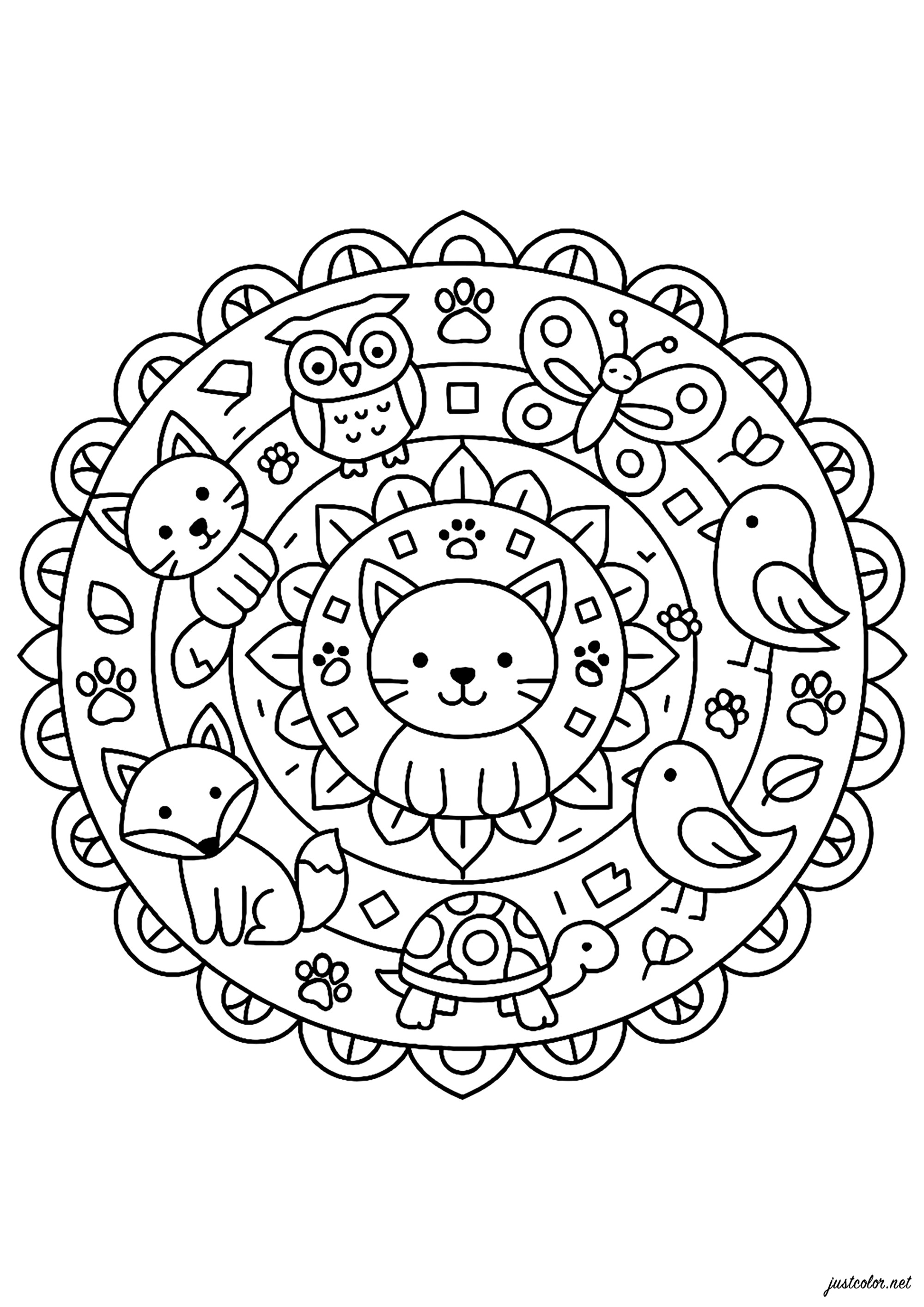 livro de mandalas para colorir download