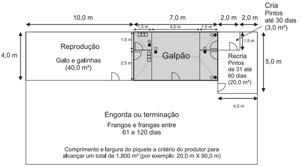 galinheiro sustentável
