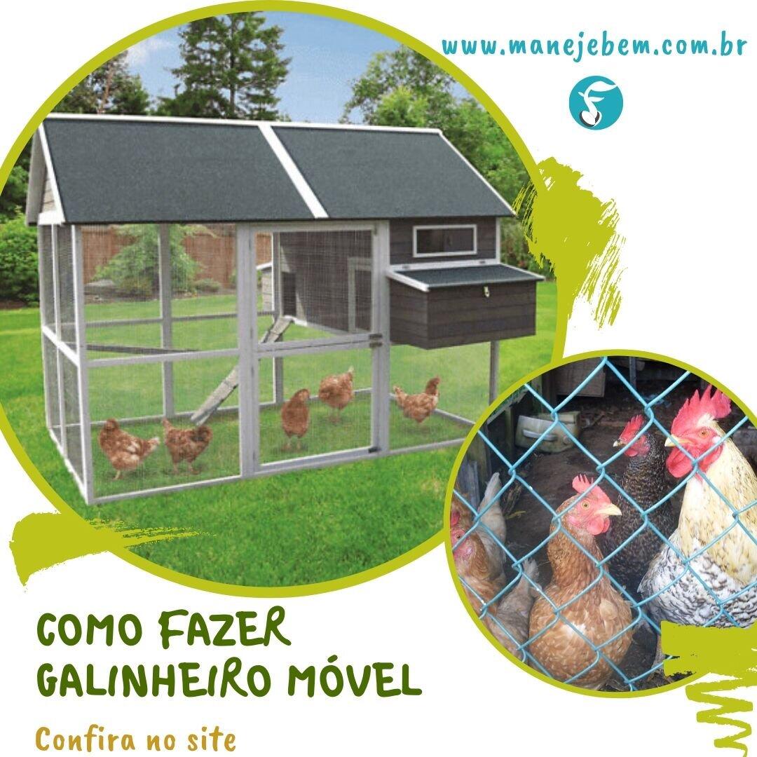 projeto de galinheiro