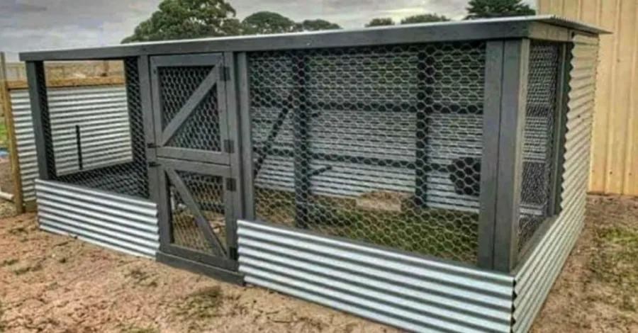 galinheiro com horta