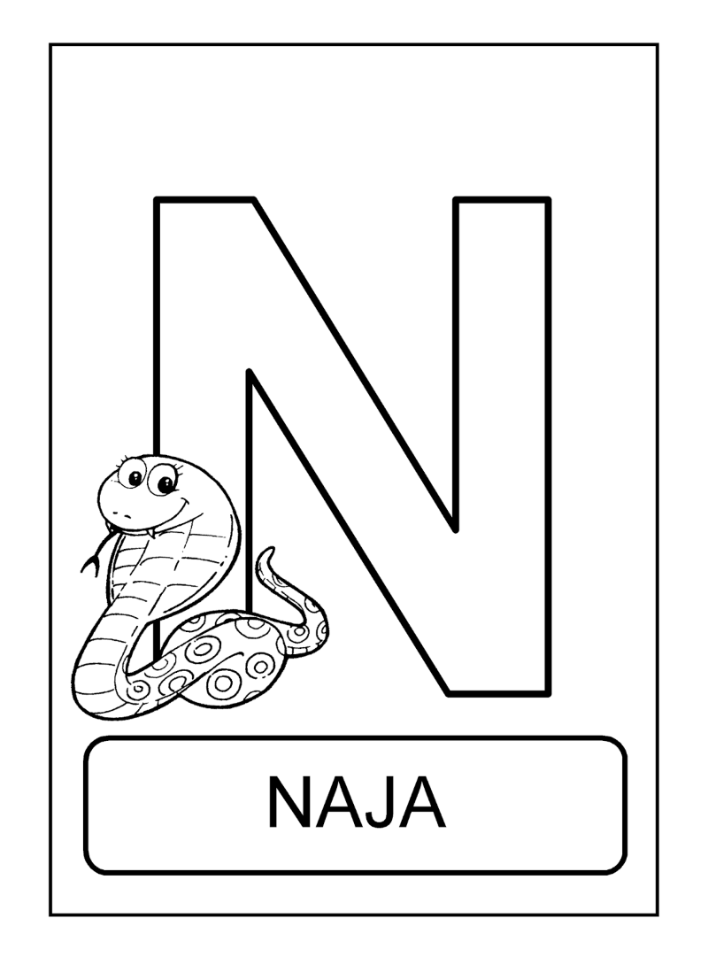 animais aquáticos com N