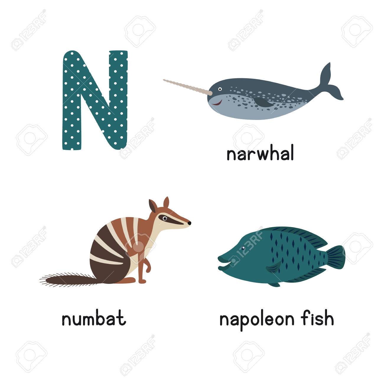 aves com N