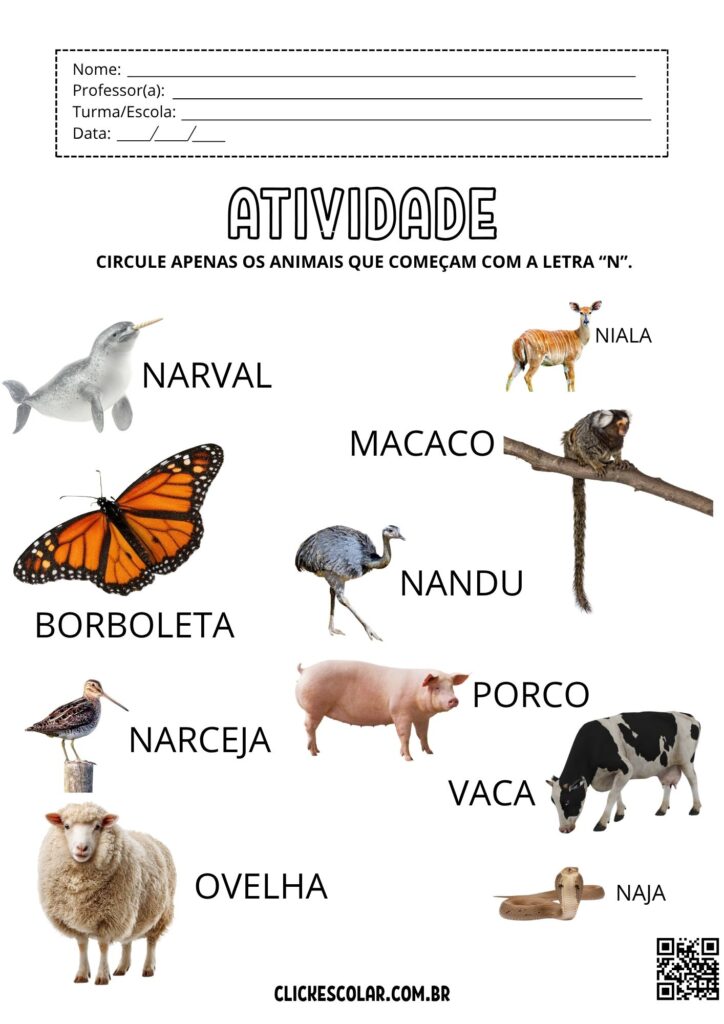 mamíferos com N