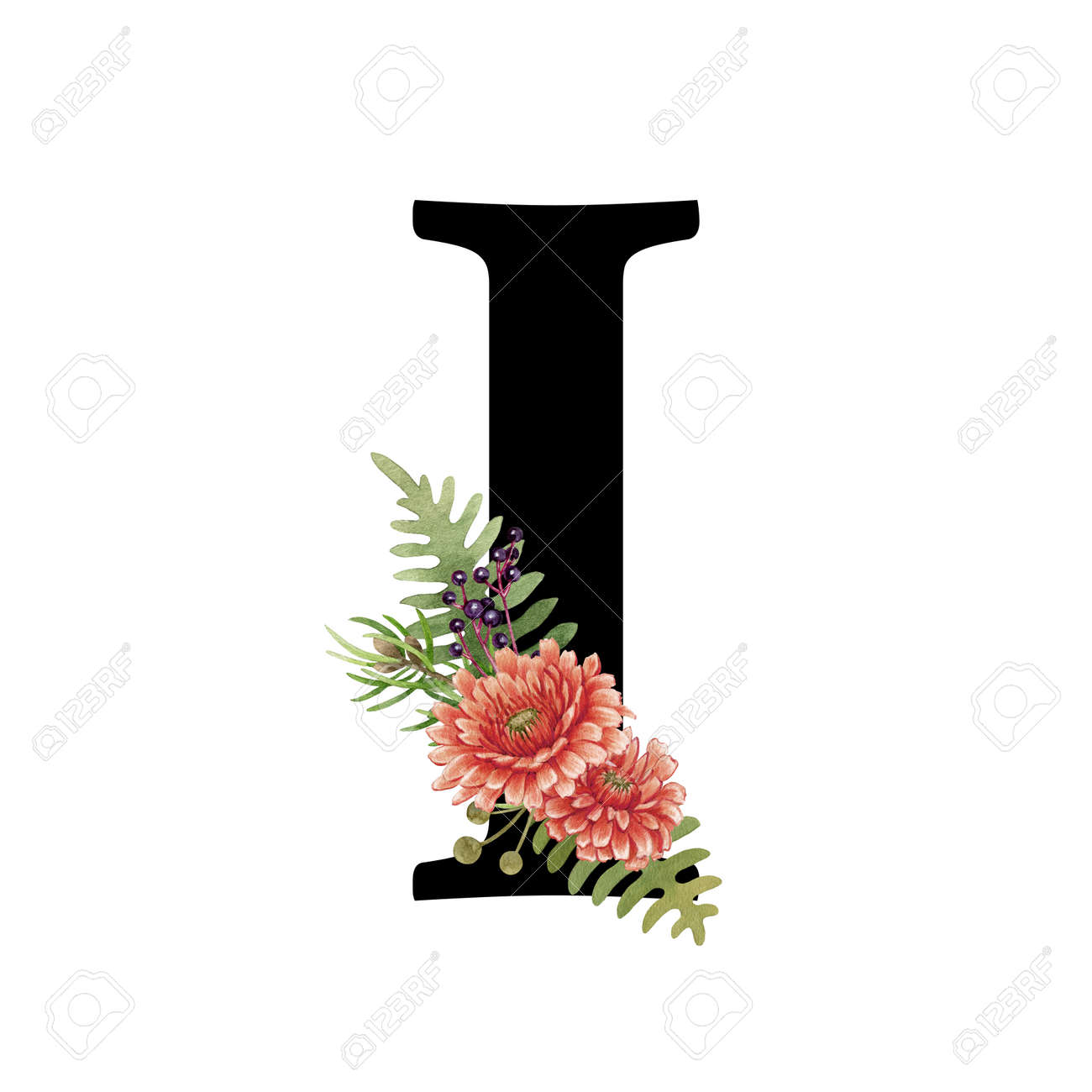 Ixora no Brasil