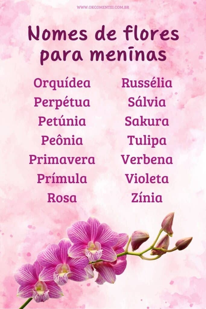 jardim com flores I