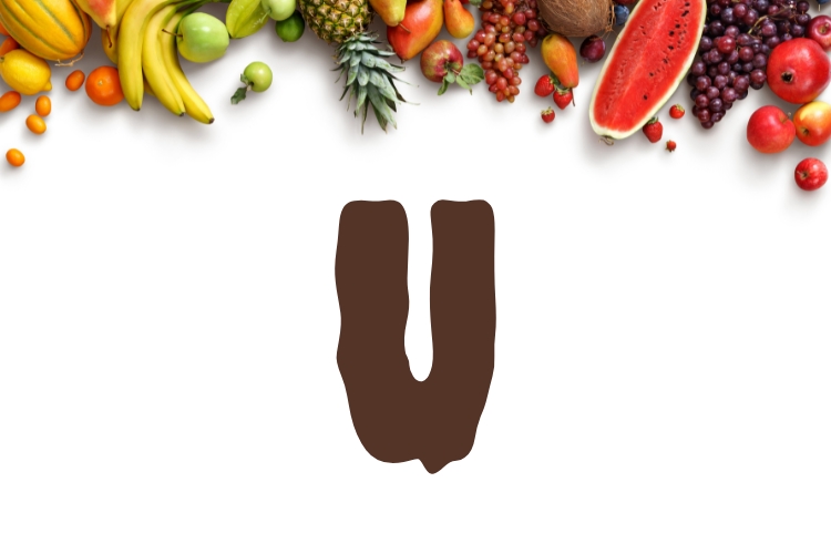 nomes de frutas letra e