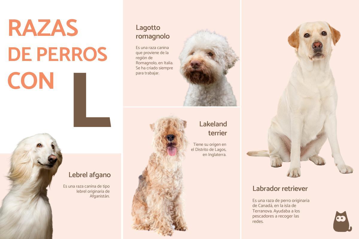 significado nomes com l