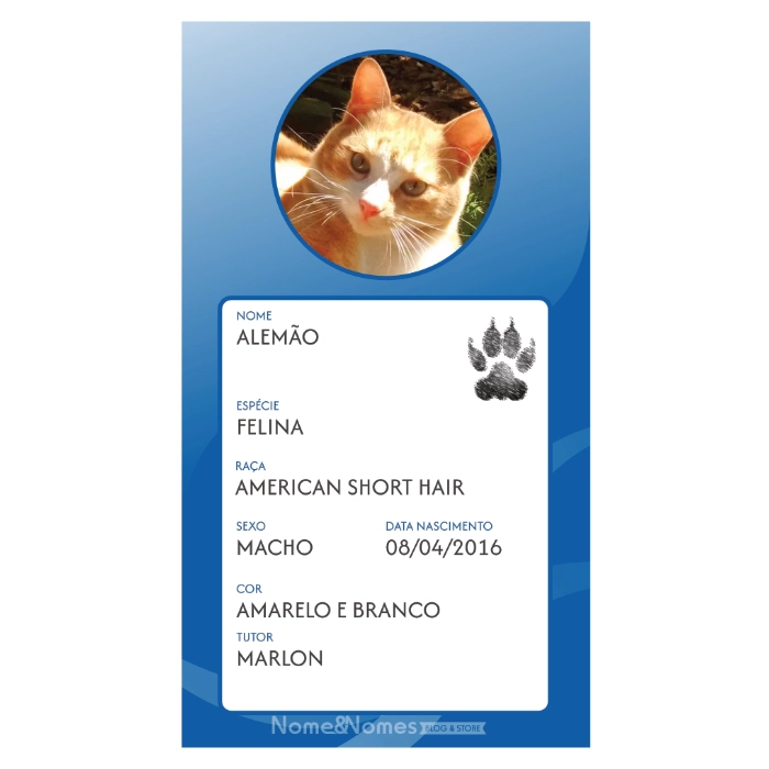 nomes para filhotes de gato