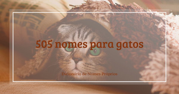 nomes de gatos diferentes