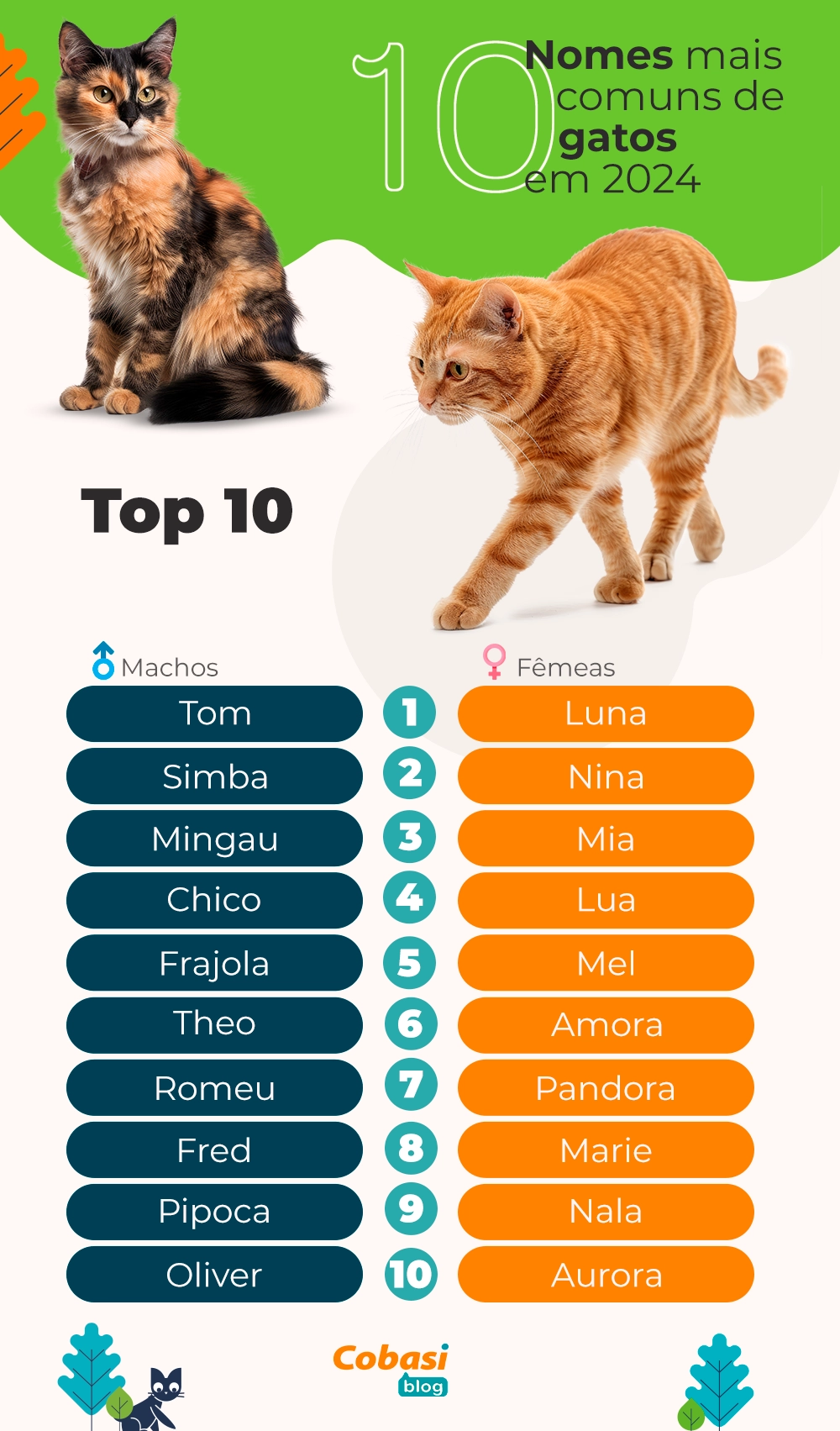 nomes criativos para gatos
