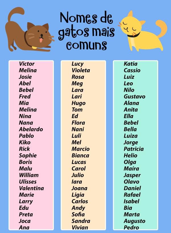 nomes fofos para gatos