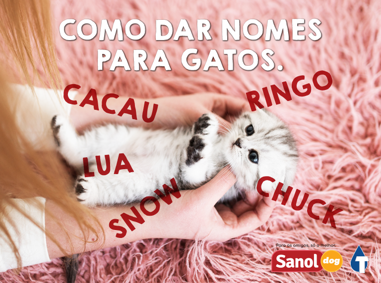nomes para gatos machos