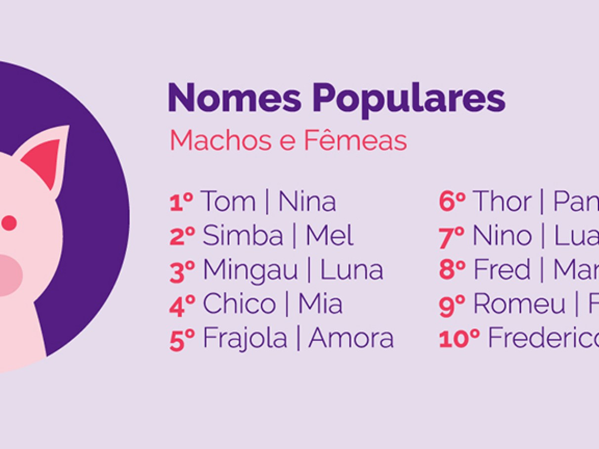 nomes de gatos engraçados