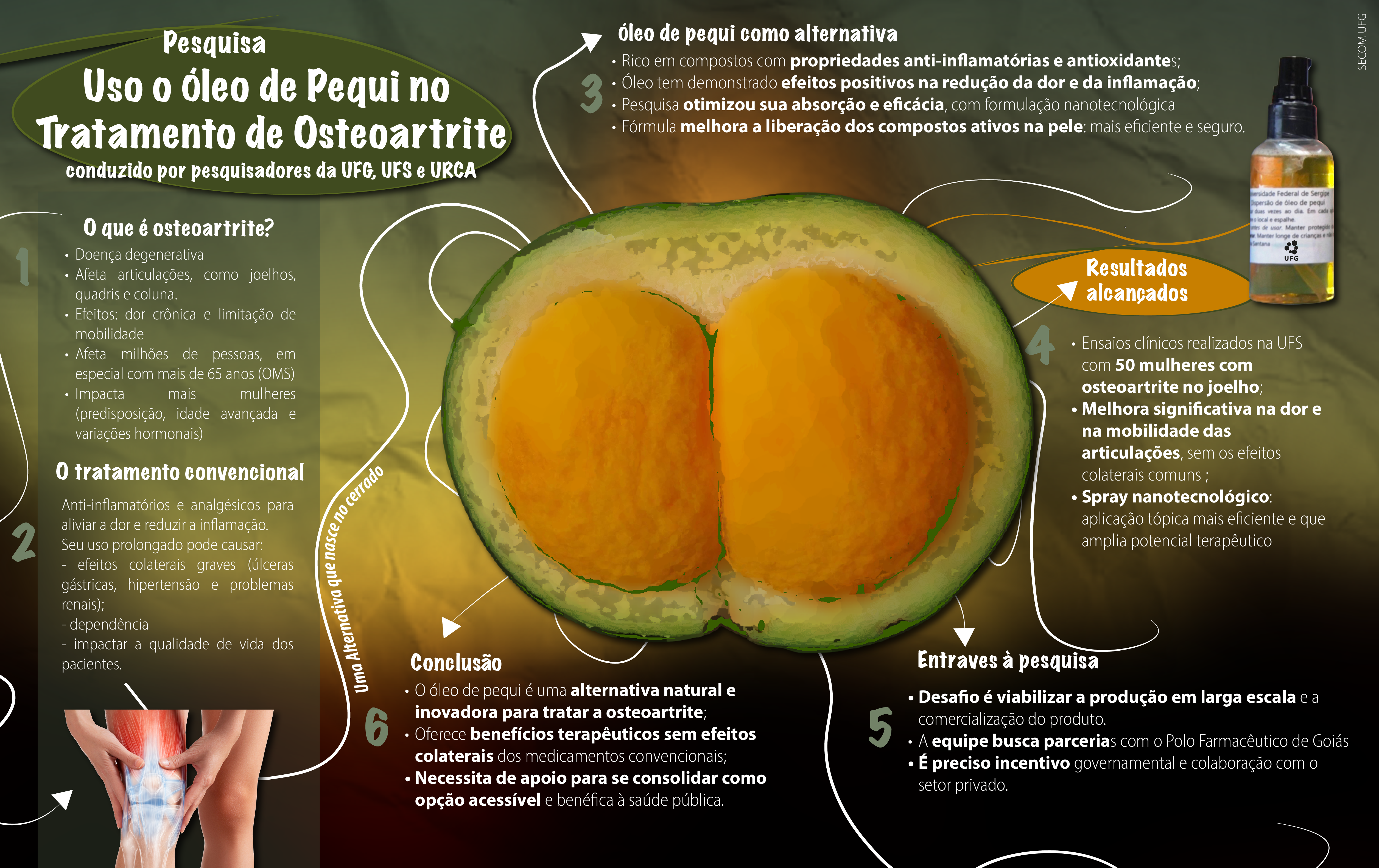 benefícios óleo de pequi fígado