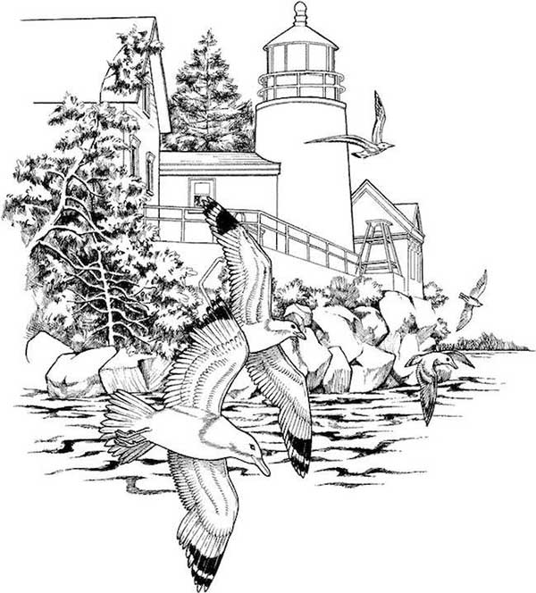 desenhos realistas para colorir natureza