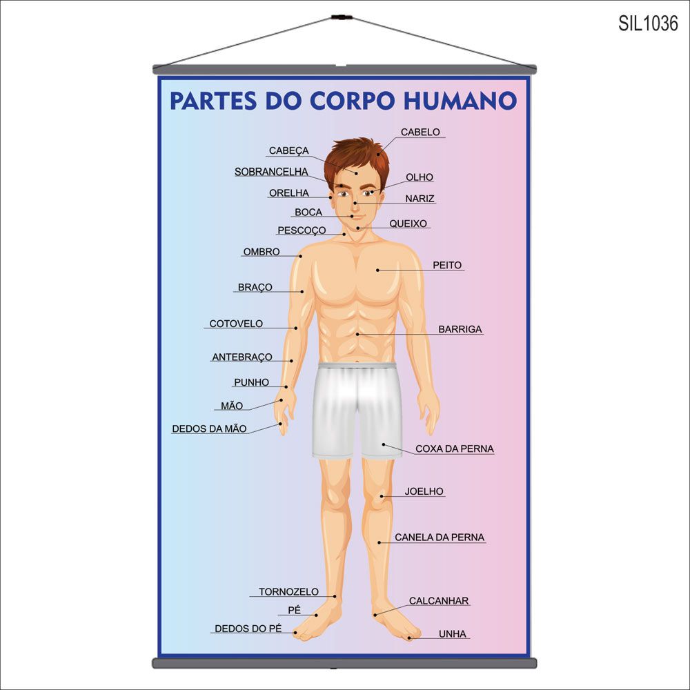 ossos com s