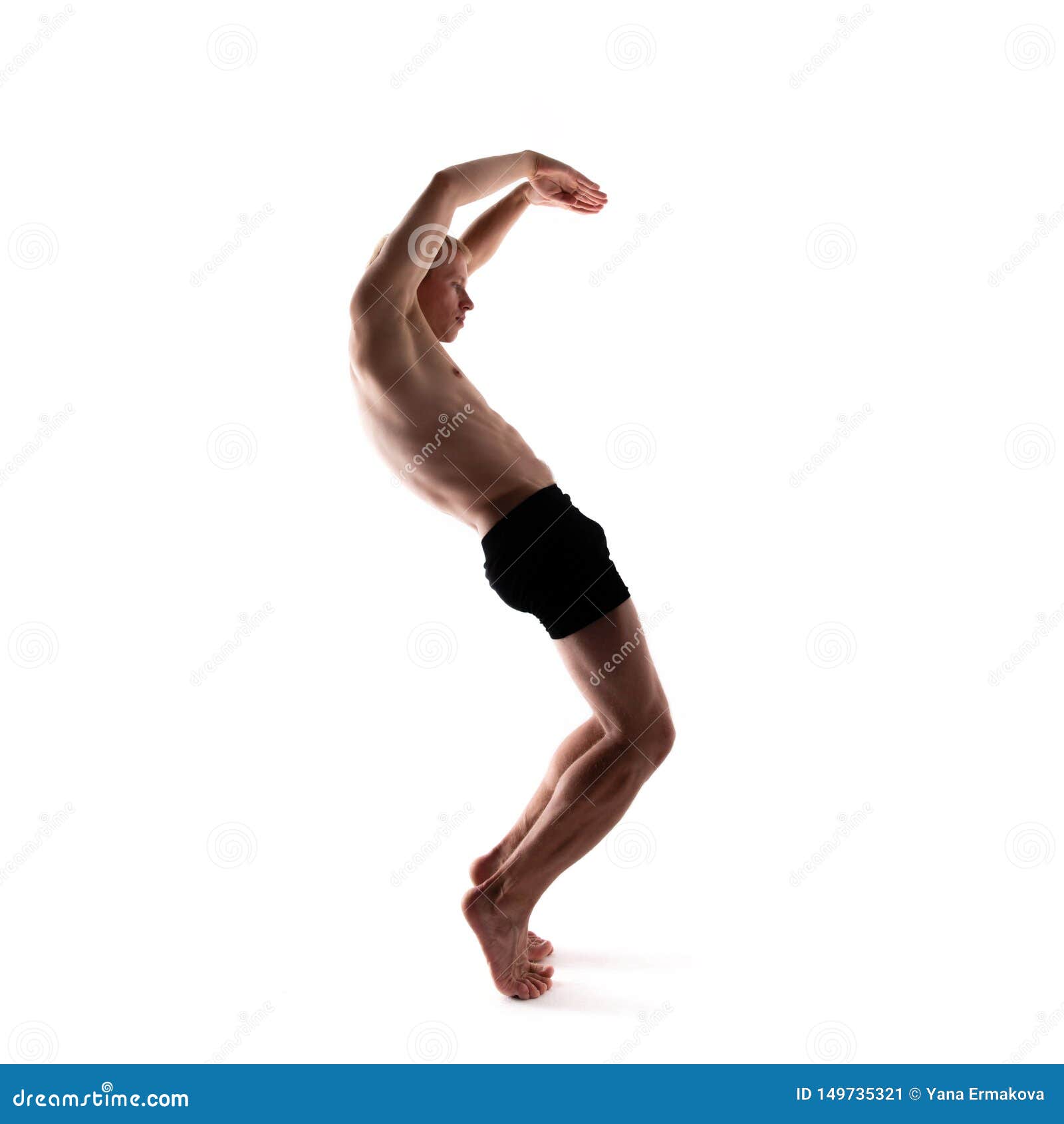 anatomia com s